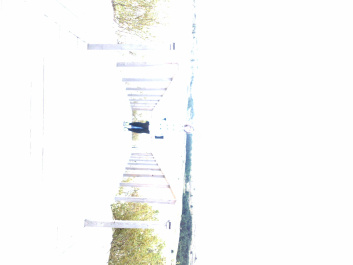 photo 215346
