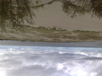photo 215348