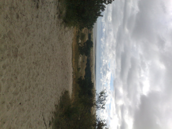 photo 215352