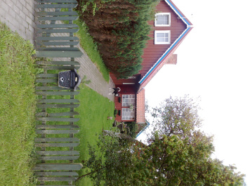 photo 215353