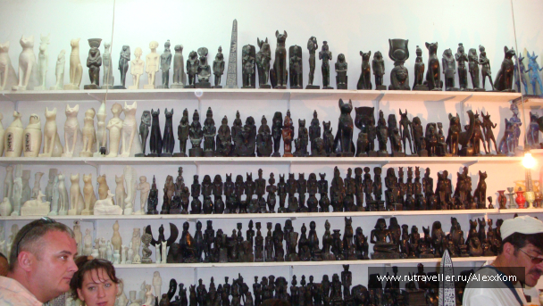 photo 658565