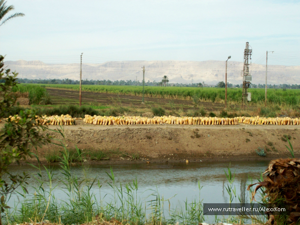 photo 658650