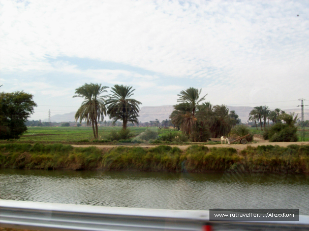 photo 658656