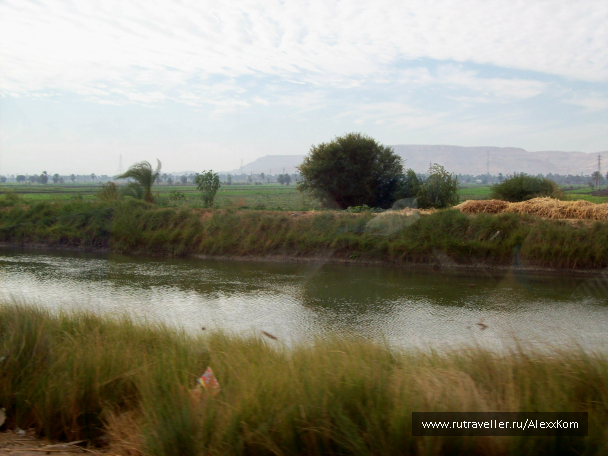 photo 658664