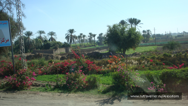 photo 663413