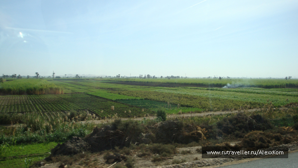 photo 663414