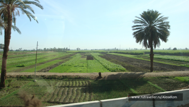 photo 663416
