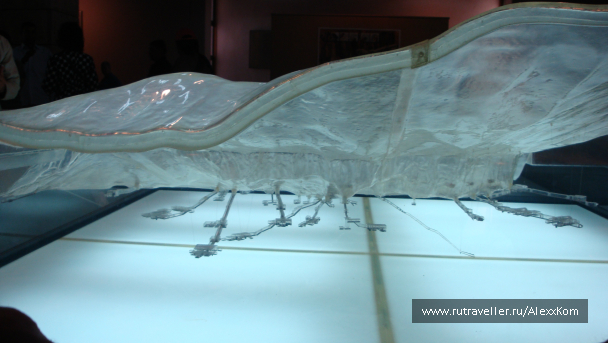 photo 663456