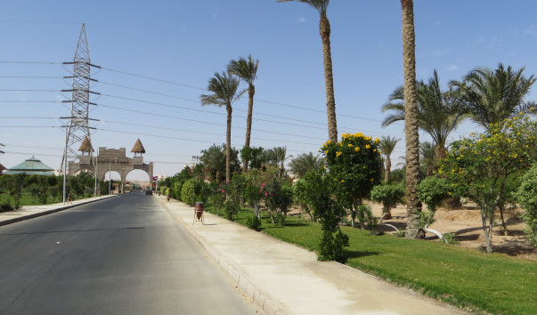 Egypt 2014 090