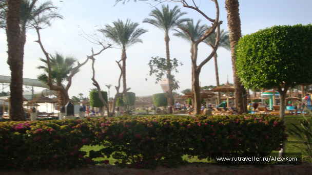photo 657952