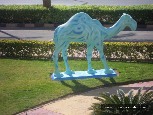 photo 662631