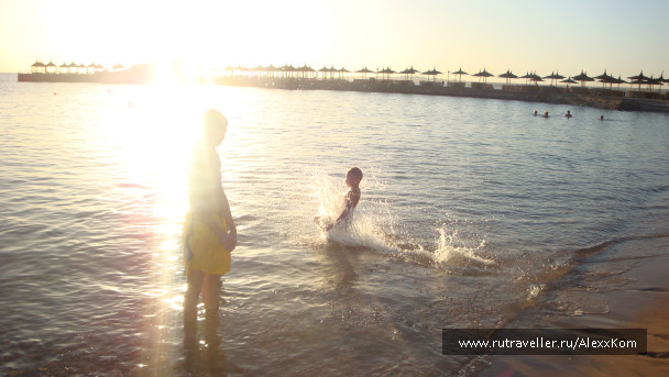 photo 663772