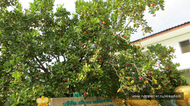 photo 658134