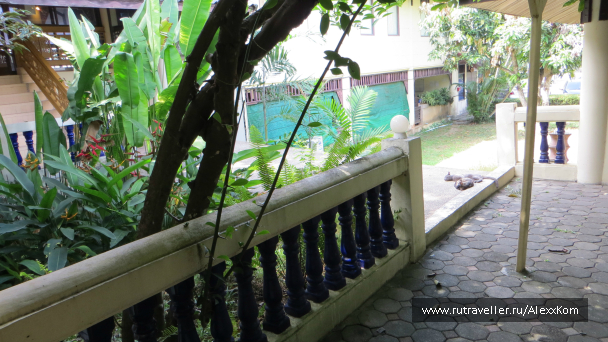 photo 658687