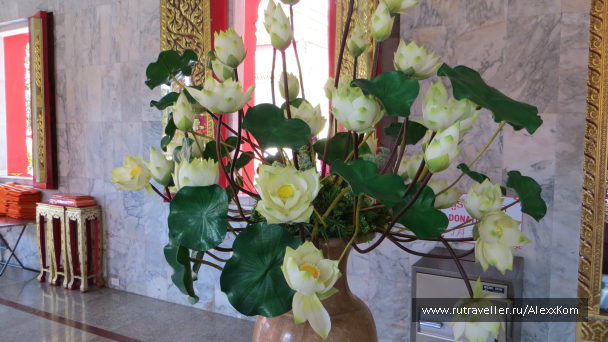 photo 658869