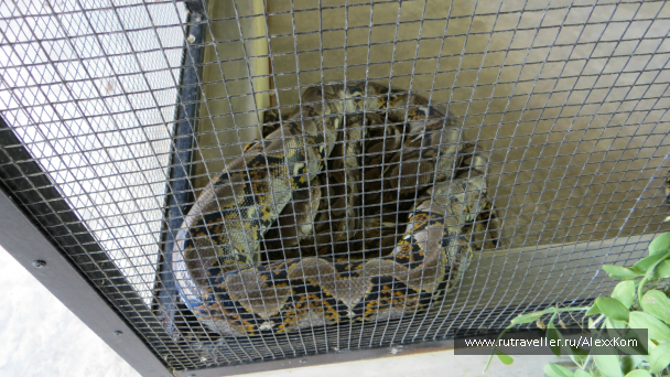 photo 658985