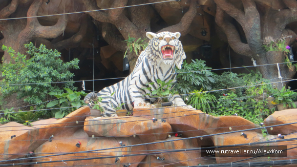 photo 659362