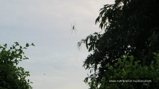 photo 659475