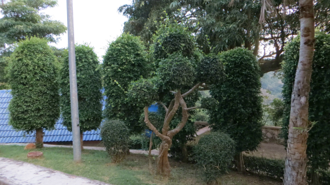photo 659476