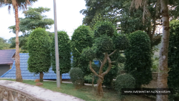 photo 659477