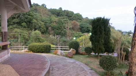 photo 659479