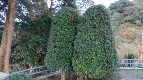 photo 659482