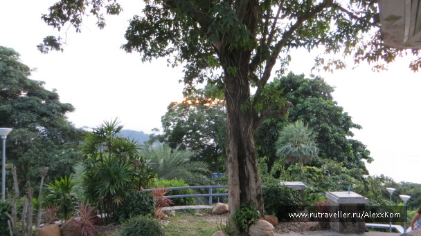 photo 659493