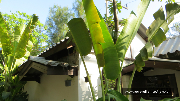photo 660177
