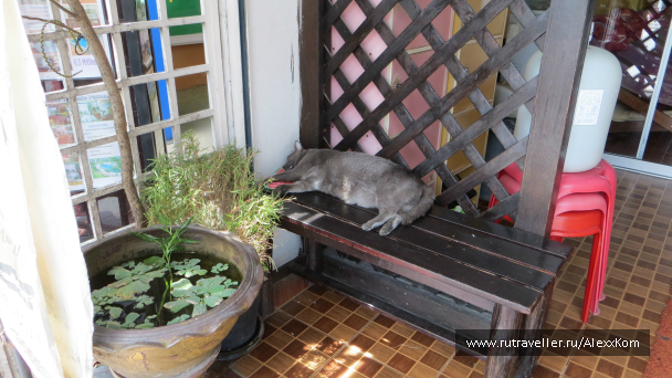 photo 660247