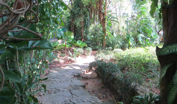 Khao Rang Hill 14