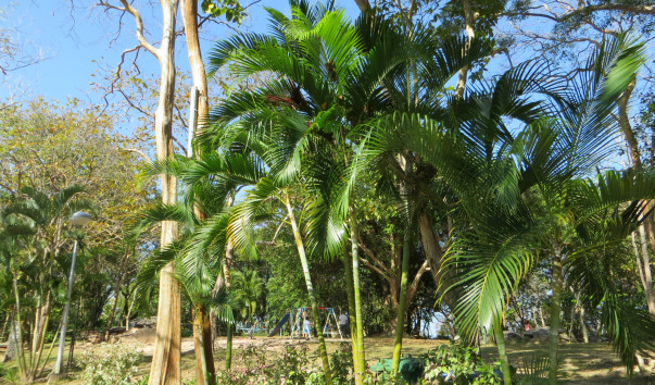 Khao Rang Hill 13