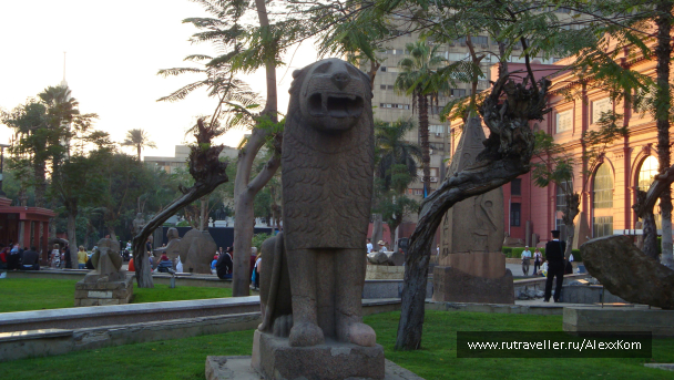 photo 658375