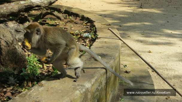 photo 659674