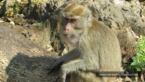 photo 659677