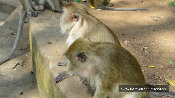 photo 659679