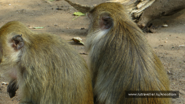 photo 659680