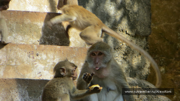 photo 659681