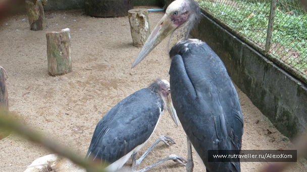 photo 659695