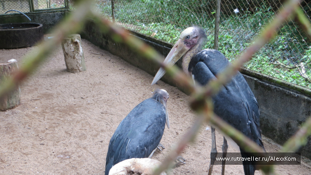 photo 659696