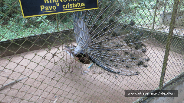 photo 659698