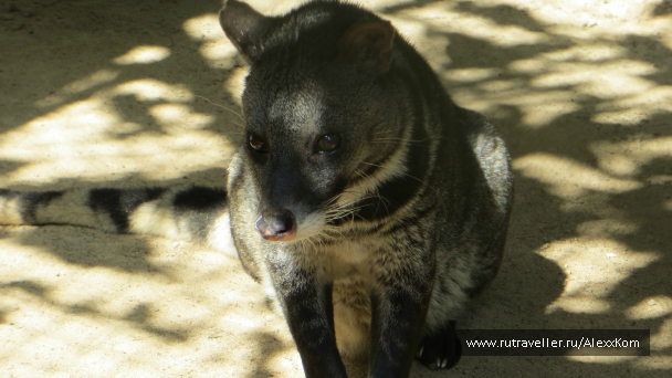 photo 659699