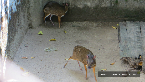photo 659702