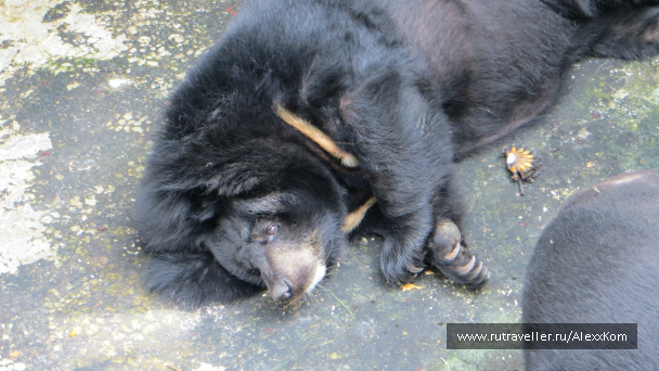 photo 659704