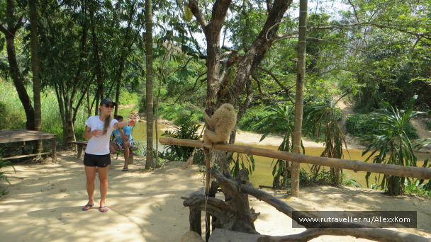 photo 659705