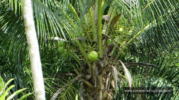 photo 659707