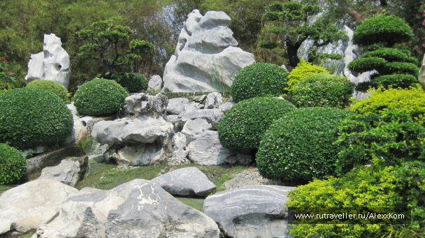 photo 659792