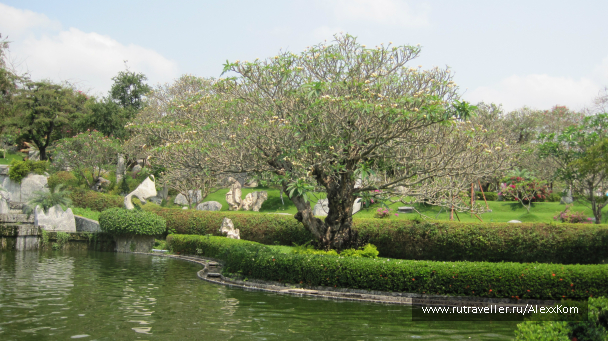 photo 659795