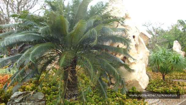 photo 659817