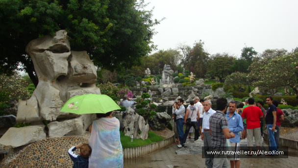 photo 659818