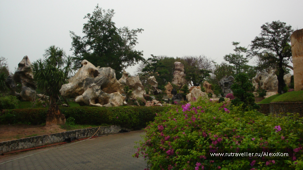 photo 659830